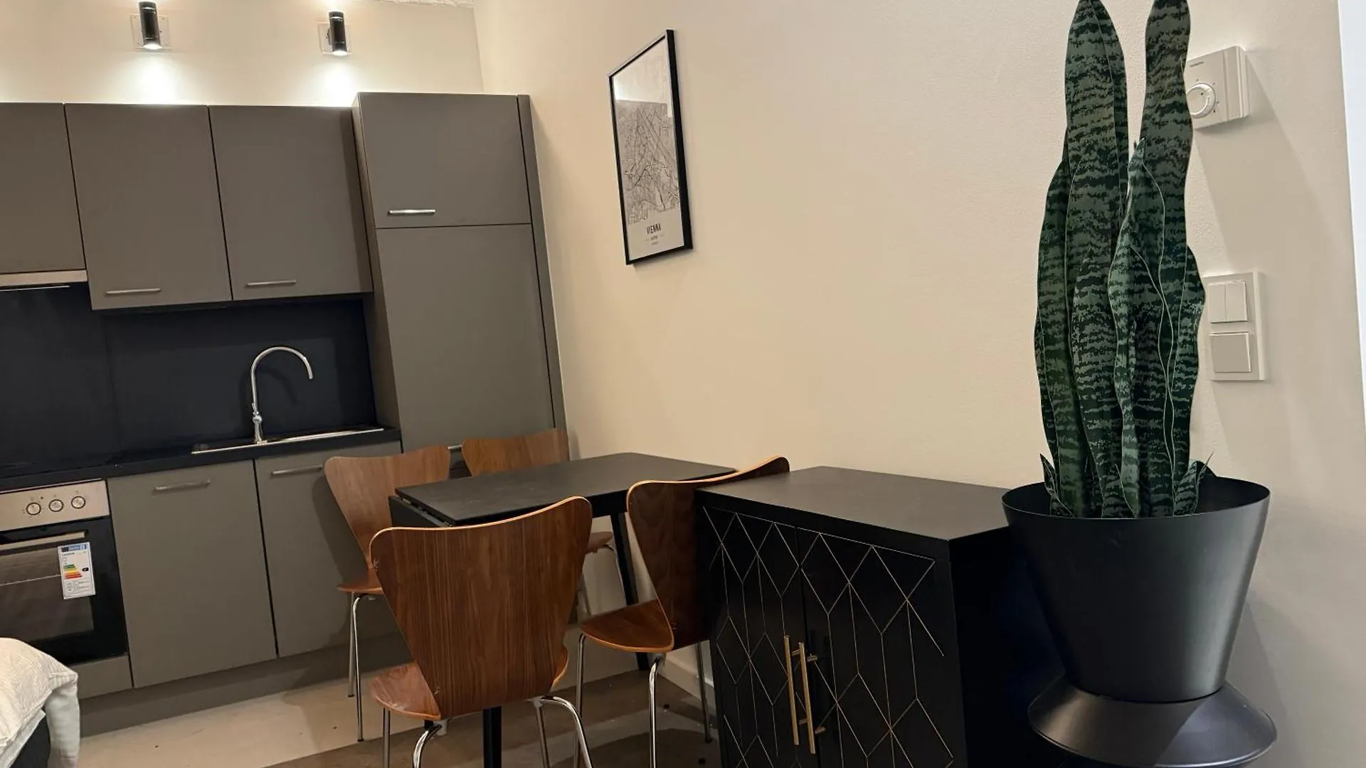 Central Renovated Apartment Vienna